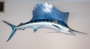 Sailfish caught by Roy Lemcke